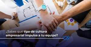 tipos de cultura empresarial